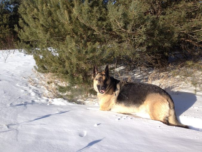 11029647_791844754203362_7753913771505448730_n