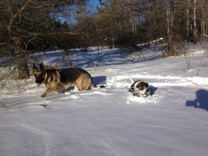 11034307_791844690870035_8017897349070089898_n