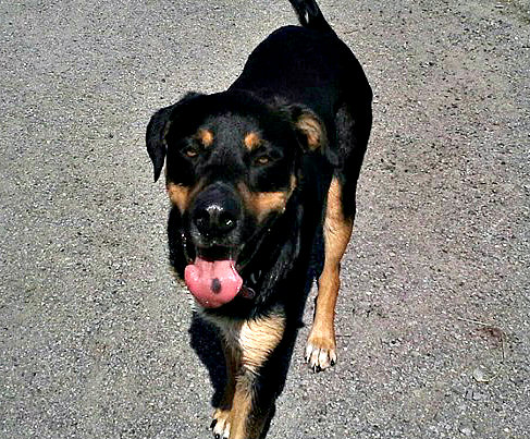 11113768_10155687546690601_4444693379915962271_o